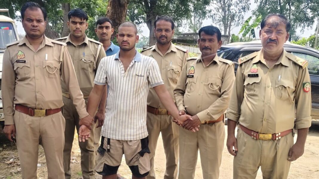 भाभर रेंज में अवैध शीशम कटान पर कार्रवाई करते वन विभाग और एसएसबी की टीम।