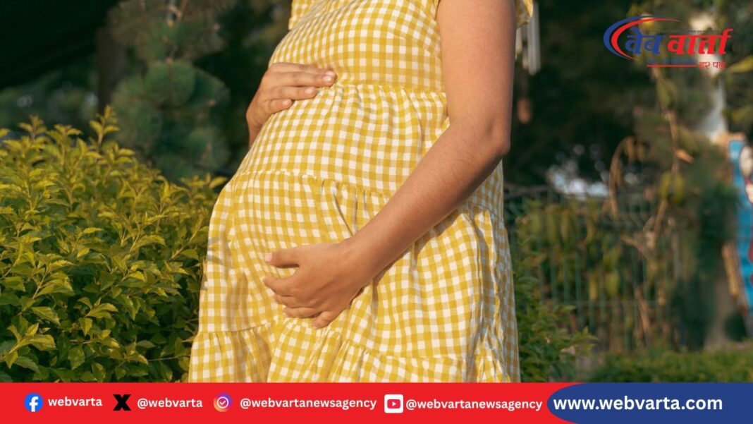 Gadchiroli Pregnant Woman Death Road Absence जच्चा-बच्चा की मौत गढ़चिरौली में सड़क न होने से गर्भवती महिला और शिशु की मौत