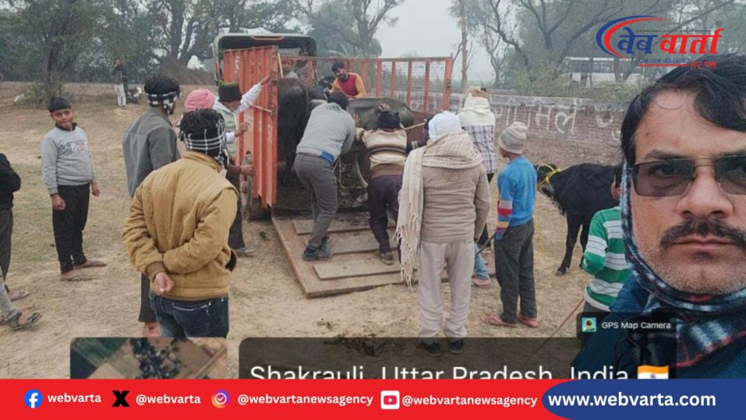 एटा ग्रामीण गोवंश संरक्षण मिसाल 2026