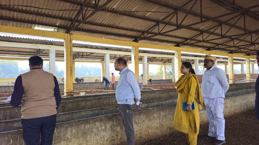 डीएम ने किया विकास खंड बलरामपुर में कान्हा गौशाला सेवकरामपुर का निरीक्षण दिए आवश्यक दिशा निर्देश 5 DM inspected Kanha Gaushala Sewakrampur in Balrampur development block and gave necessary guidelines 1