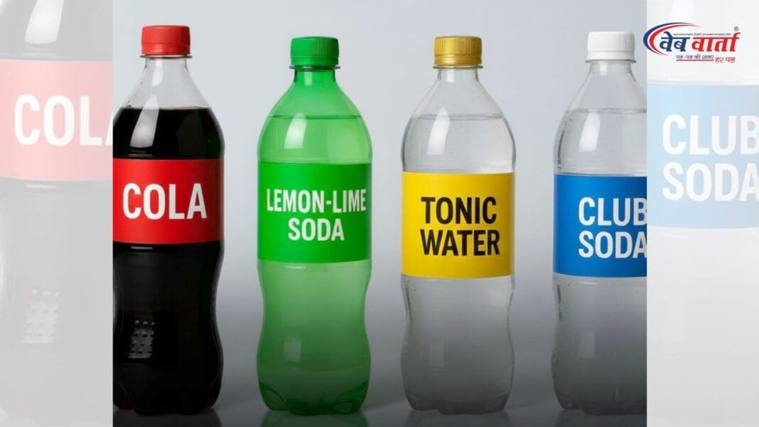 निर्मला सीतारमण ने जीएसटी परिषद की 56वीं बैठक में 40% जीएसटी लागू करने की घोषणा की