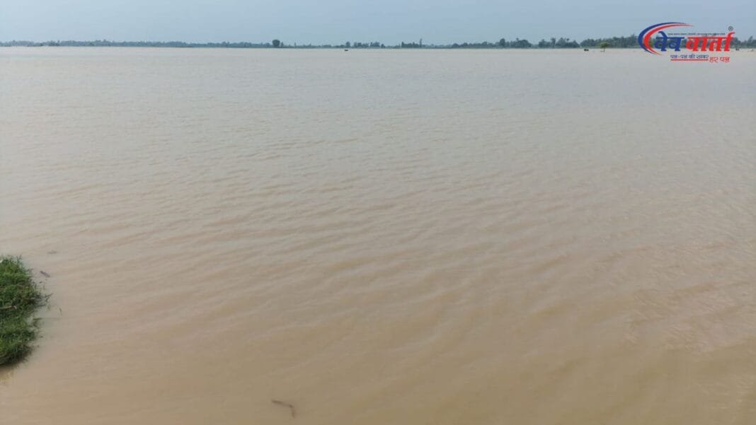 हरदोई में गर्रा नदी की बाढ़ से प्रभावित तटवर्ती गांवों में जलमग्न खेत