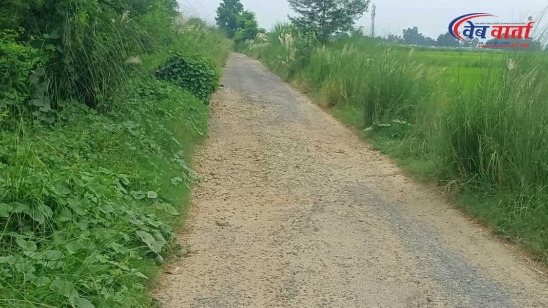 balrampur-bhedpur-dilapidated-village-road-image बलरामपुर के श्रीदत्तगंज में उतरौला-गोण्डा मार्ग से भेदपुर गांव तक जर्जर डामर सड़क पर जलभराव