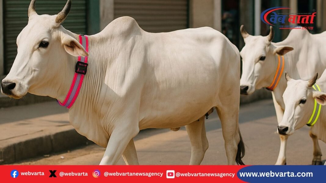 नवसारी रेडियम बेल्ट मवेशी सुरक्षा अभियान 2025