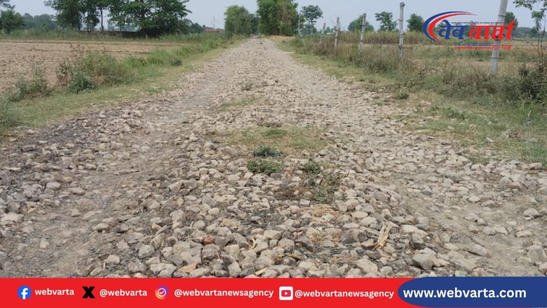 बलरामपुर के तुलसीपुर क्षेत्र की जर्जर सड़कों से परेशान आमजन