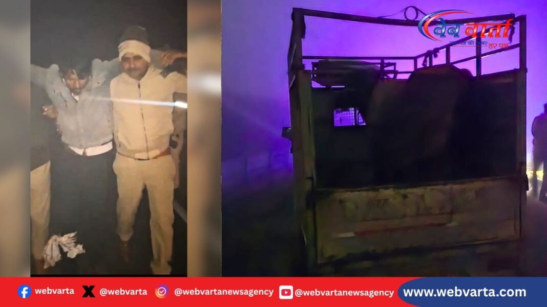 Hardoi Police Encounter Animal Smugglers1 हरदोई में पशु तस्करों से मुठभेड़ के बाद पुलिस की कार्रवाई