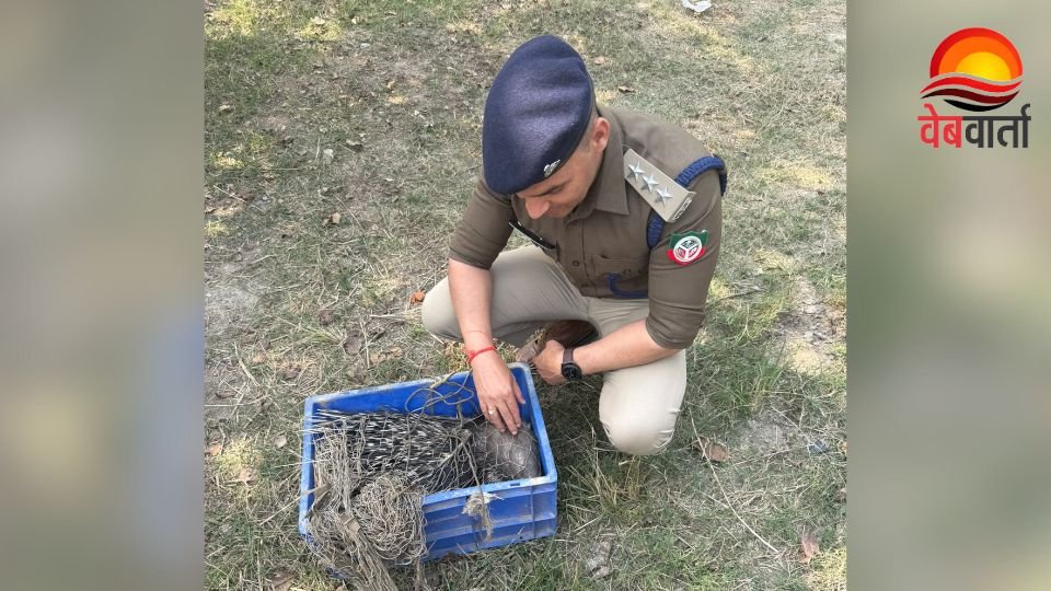 हरदोई में सेही के सुरक्षित रेस्क्यू के दौरान वन विभाग की टीम