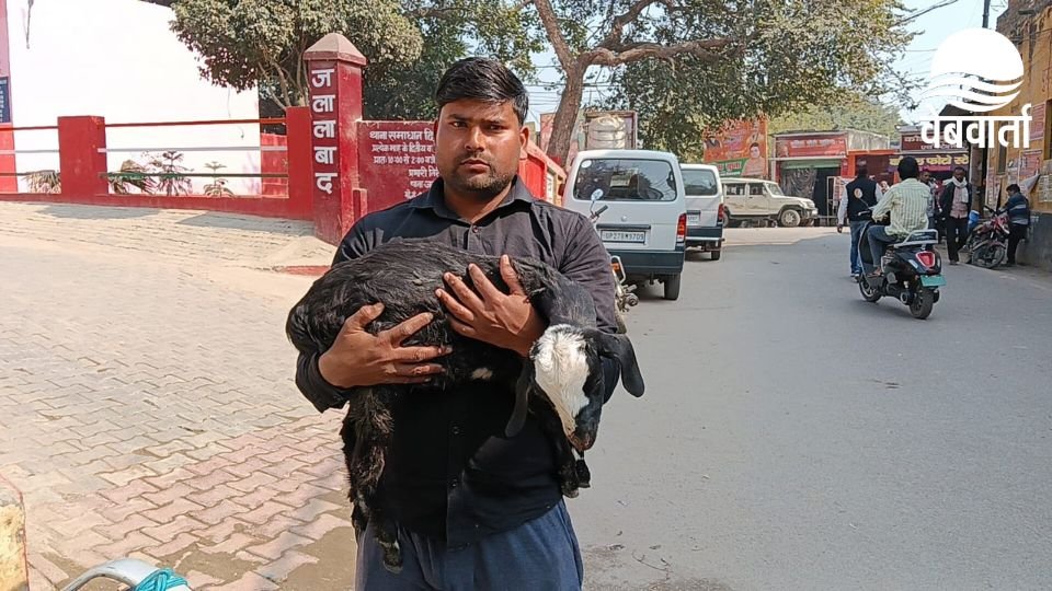 शाहजहांपुर में कार से बकरे की मौत का मामला