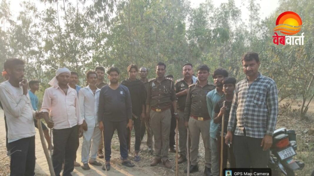 Hardoi Nilgai Attack Crisis Village Incident Hardoi Nilgai Attack – हरदोई में नीलगाय हमला