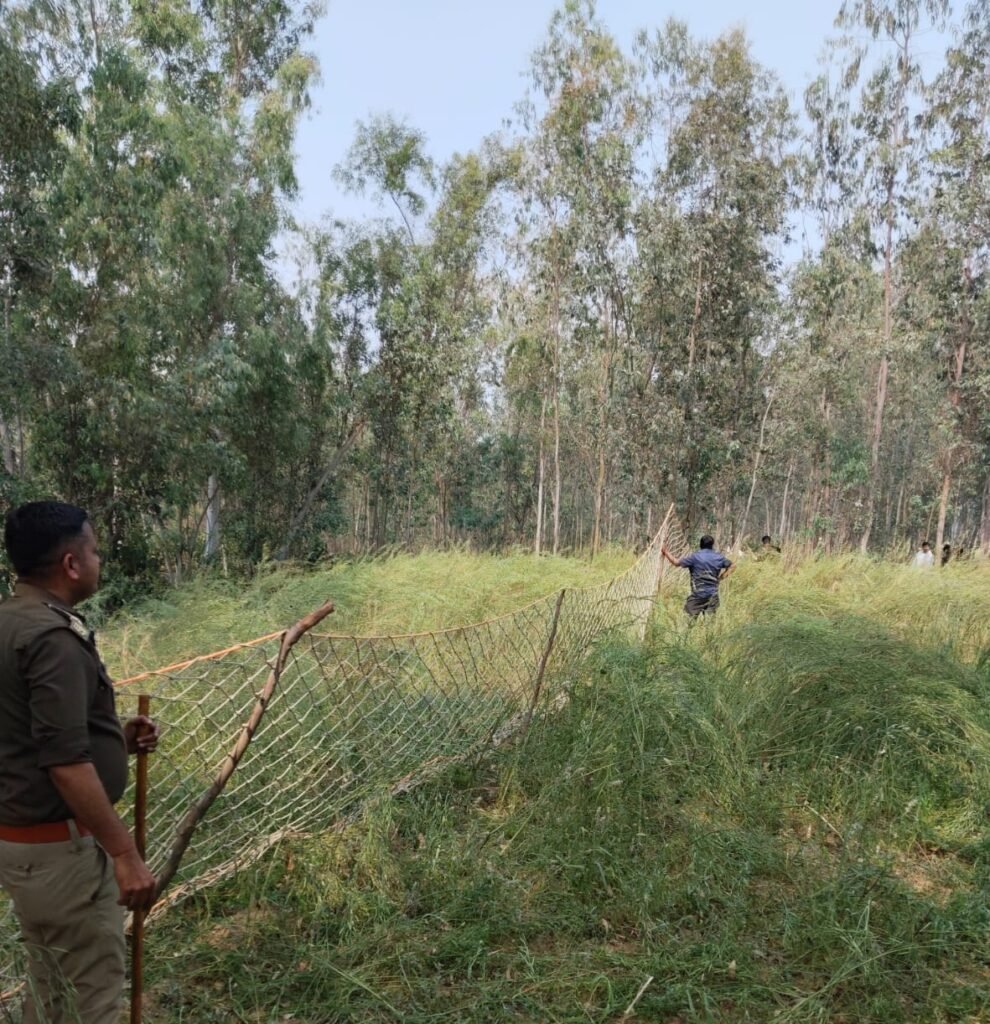 Hardoi Nilgai Attack Crisis – हरदोई में नीलगाय हमला