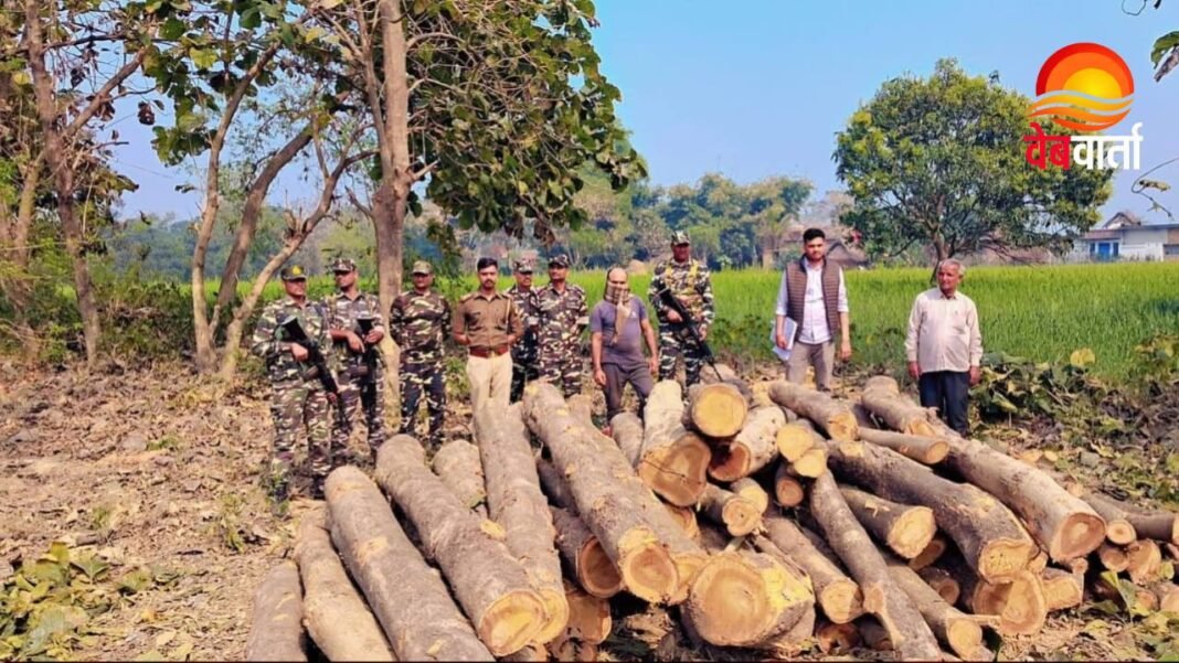 Teak Wood Smuggling Siddharthnagar सिद्धार्थनगर में अवैध सागौन कटान पर Forest Department और SSB की कार्रवाई