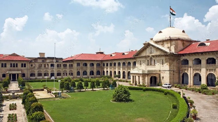 UP : हाईकोर्ट ने पूछा- चाइनीज मांझे पर रोक को लेकर क्या कार्रवाई की गई, सरकार जवाब दे