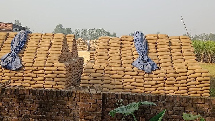 Uttarakhand: गेहूं और धान खरीद पर अब दो प्रतिशत मंडी Uttarakhand: गेहूं और धान खरीद पर अब दो प्रतिशत मंडी शुल्क, कैबिनेट में प्रस्ताव को दी गई मंजूरी