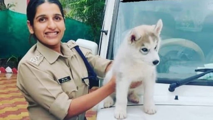 कौन हैं गुना की नई कप्तान? 2017 बैच की IPS कौन हैं गुना की नई कप्तान? 2017 बैच की IPS हितिका वसाल, मैनचेस्टर यूनिवर्सिटी से डिग्री, पंजाब से खास पहचान