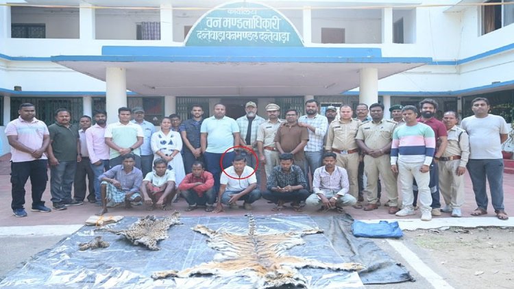 छत्तीसगढ़ में जंगल का रक्षक ही निकला शिकारी: डिप्टी रेंजर समेत 9 गिरफ्तार, बाघ-तेंदुआ शिकार कांड उजागर