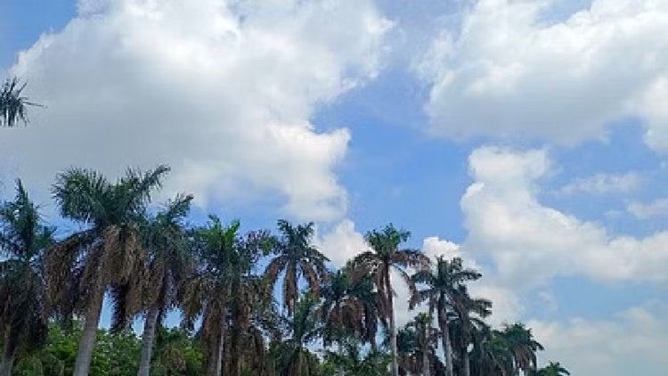 CG Weather Update: छत्तीसगढ़ में बदला मौसम का मिजाज, बारिश से मिली राहत; कई जिलों में फिर गरज-चमक के आसार