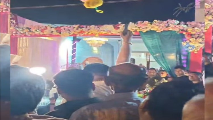 Raipur: रायपुर में शादी समारोह में खूब चली गोलियां; वीडियो वायरल होते ही मचा बवाल, इस बीजेपी लीडर ने चलाई गोली