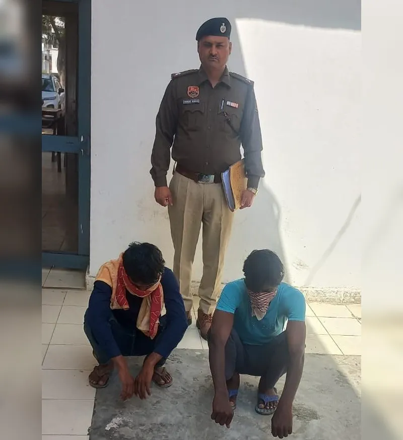sonipat-cyber-fraud-insurance-scam-arrest