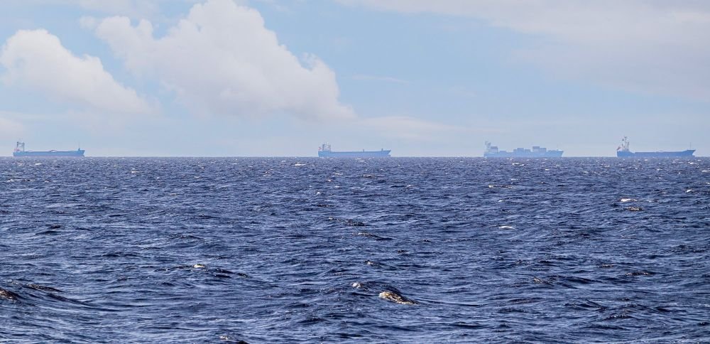 IMO Pauses Hormuz Escort Operation After Ship Attack Singapore-flagged cargo ship Ever Lovely near the Strait of Hormuz after reported attack