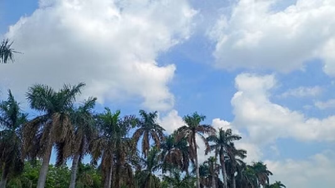 CG Weather Update: छत्तीसगढ़ में बारिश पर फिलहाल विराम, आज रायपुर में बादलों के बीच हल्की धूप और बारिश के बाद बदले मौसम का सांकेतिक दृश्य।