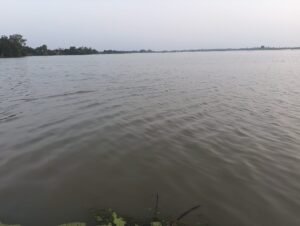 शाहाबाद क्षेत्र मे पकी फसल पर बारिश की मार, अब गर्रा का वार; बाढ़ आई तो पानी में बह जाएगी किसानों की आखिरी उम्मीद 1 WhatsApp Image 2026 09 29 at 2.34.10 PM 1